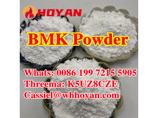 Factory Direct sales Chemical material BMK powder CAS 5449-12-7