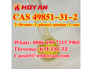 2-Bromo-1-phenyl-pentan-1-one CAS 49851-31-2 free sample