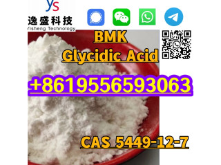 BMK CAS 5449-12-7 Chemical Powder C10H10NaO3+