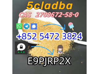 Whatsapp/telegram/信号：+852 54723824  三马：E9PJRP2X