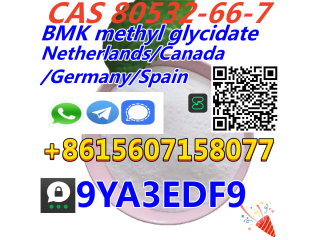 CAS 80532-66-7 Professional Supplier 99% high purity BMK methyl glycidate Ship to Netherlands/Canada/Germany/Spain
