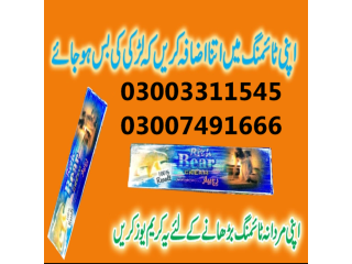 Pin on Rich Bear price in Pakistan - 03007491666