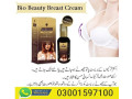bio-beauty-cream-in-lahore-03001597100-small-0