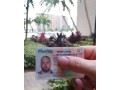 produce-passportsdrivers-licensesid-small-2
